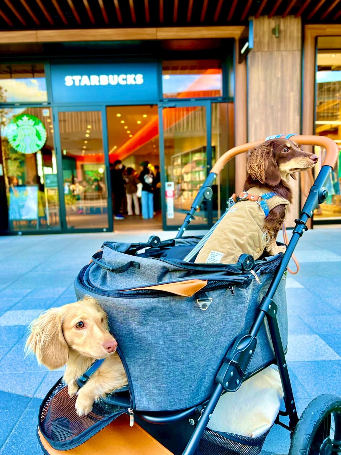 ギャラリー写真2