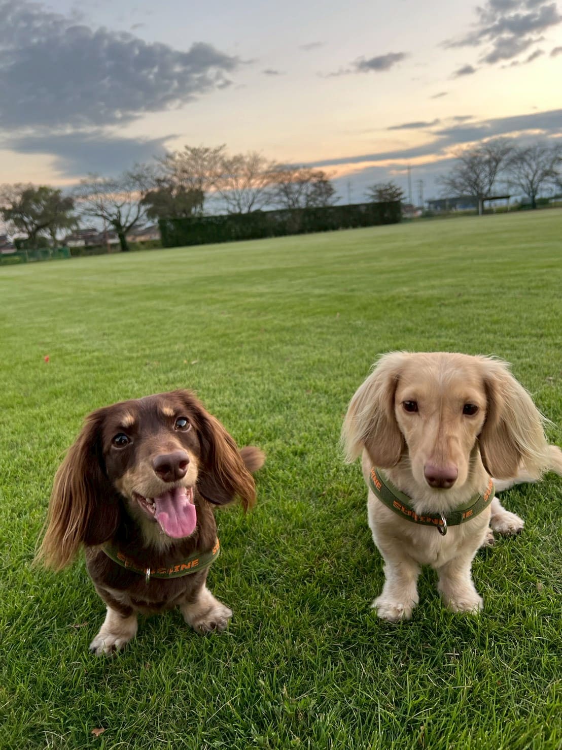 情報を最新に保つ