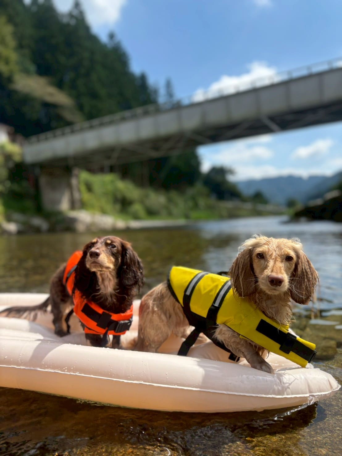 ギャラリー写真6