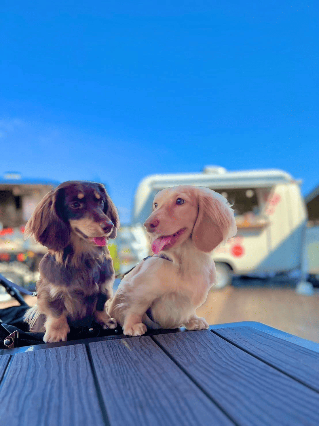 ギャラリー写真3