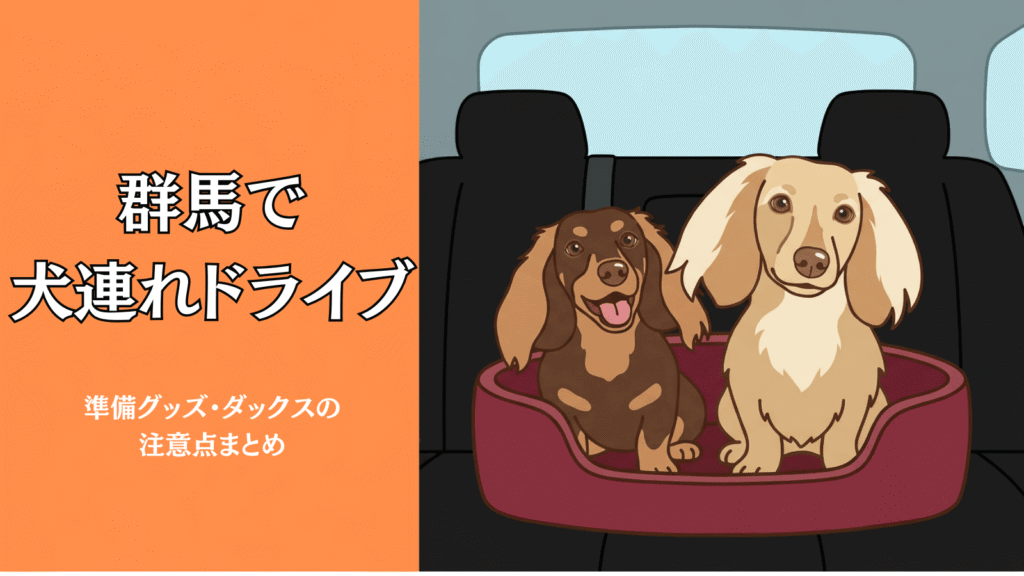 群馬で犬連れドライブ｜準備グッズ・ダックスの注意点まとめ
